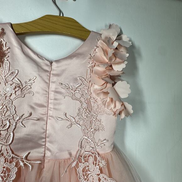 Trish Scully Size 7 Bianca Gown Satin Dress Tulle Lace 3D Floral Peachy Pink - Picture 6 of 11